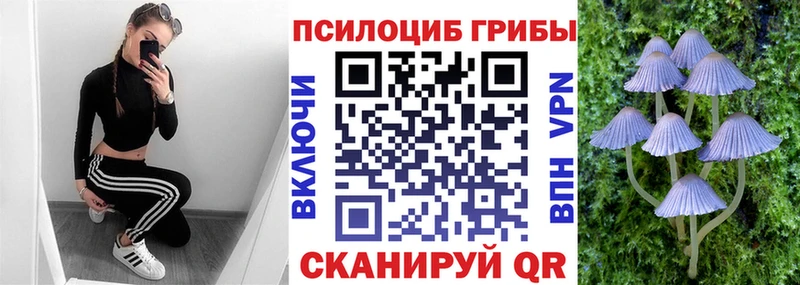 что такое   Барабинск  Галлюциногенные грибы ЛСД 