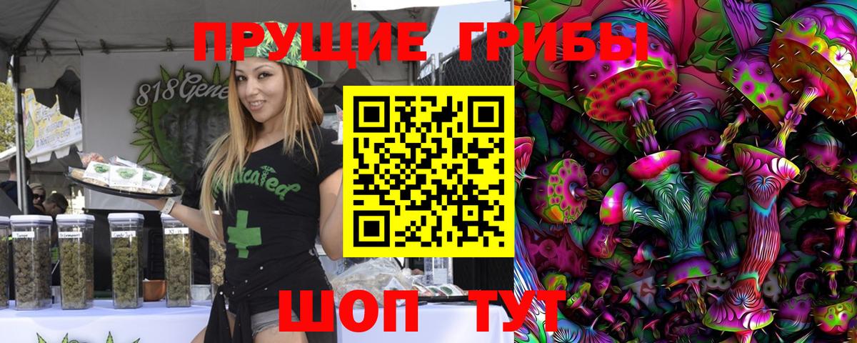 Псилоцибиновые грибы Cubensis Барабинск