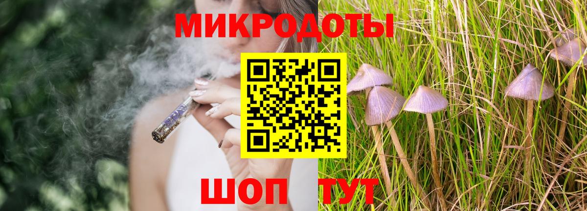 Барабинск  Псилоцибиновые грибы мицелий  где купить   Вход с VPN  Псилоцибиновые грибы Psilocybine cubensis 